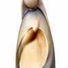 Dolfi Catalogo Maria Cm 14 (5,5 Inch) Presepe Stella Stile Moderno Colori Ad Olio In Legno Val Gardena Blessed Virgin Mary Statues