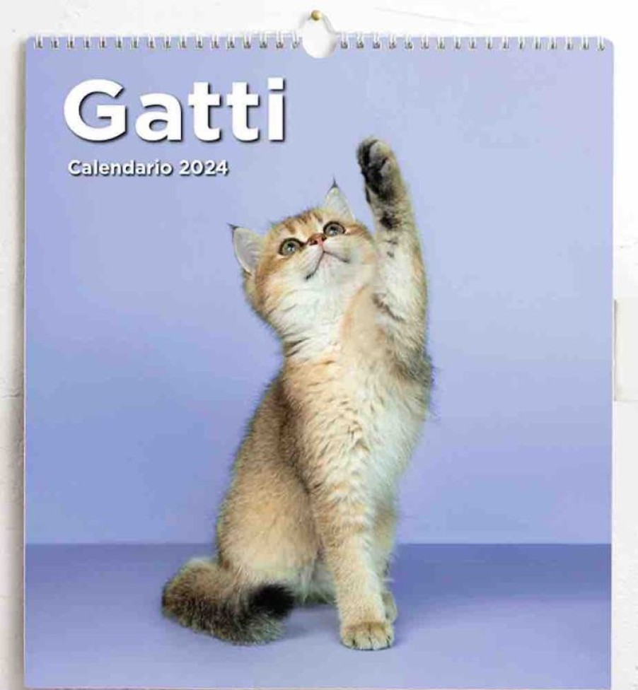 Editrice Millennium Gatos Calendario De Pared 2024 Cm 31X33 (12,2X13 In) Collectible Nativity Sets & 38 Sizes