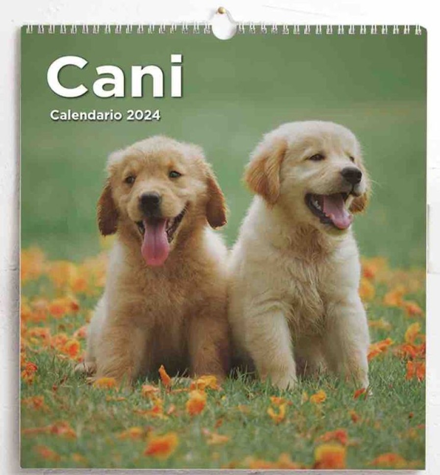 Editrice Millennium Perros Calendario De Pared 2024 Cm 31X33 (12,2X13 In) Collectible Nativity Sets & 38 Sizes