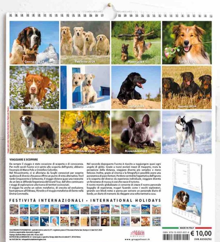 Editrice Millennium Perros Calendario De Pared 2024 Cm 31X33 (12,2X13 In) Collectible Nativity Sets & 38 Sizes