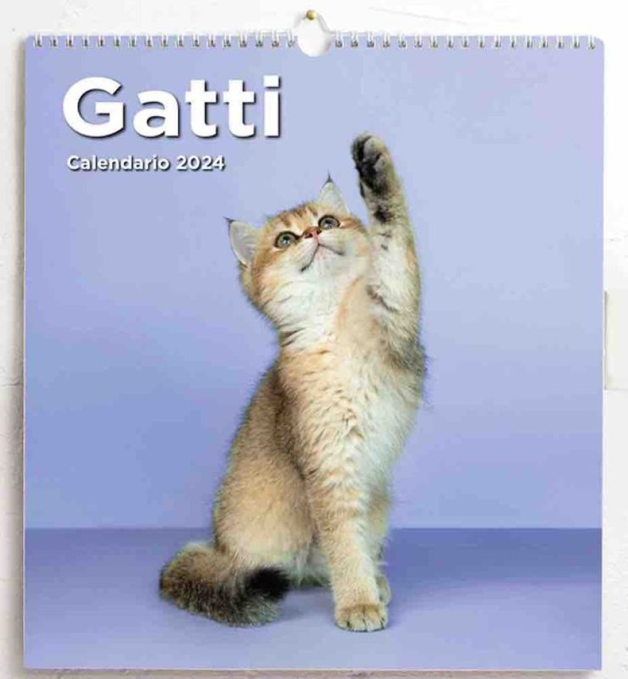 Editrice Millennium Calendario Da Muro 2024 Gatti Cm 31X33 Collectible Nativity Sets & 38 Sizes