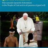 Libreria Editrice Vaticana - Catalogo e Novità Querida Amazonia Post-Synodal Apostolic Exhortation To The People Of God And To All Persons Of Good Will Pope Francis Catholic & Religious Books