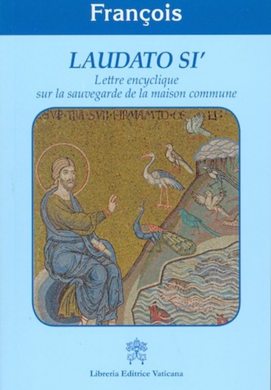 Libreria Editrice Vaticana - Catalogo e Novità Laudato Si\\\\\\\\' Lettre Encyclique Sur La Sauvegarde De La Maison Commune Libros Catolicos Y Religiosos